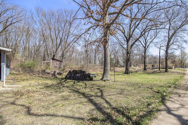 view of yard featuring an outdoor structure