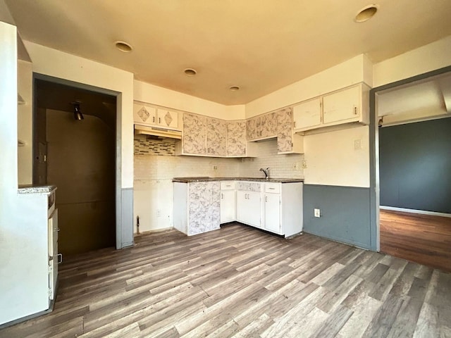 kitchen featuring under cabinet range hood, tasteful backsplash, a sink, and wood finished floors