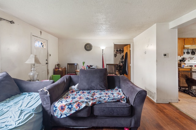 659 N Van Dyke Rd, Imlay City, MI 48444 - living area featuring a textured ceiling, wood finished floors, and baseboards