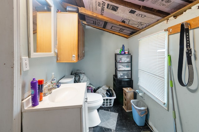 659 N Van Dyke Rd, Imlay City, MI 48444 - half bath with vanity and toilet