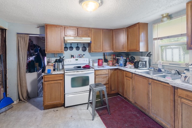 659 N Van Dyke Rd, Imlay City, MI 48444 - kitchen featuring white electric stove, under cabinet range hood, a textured ceiling, light countertops, and a sink