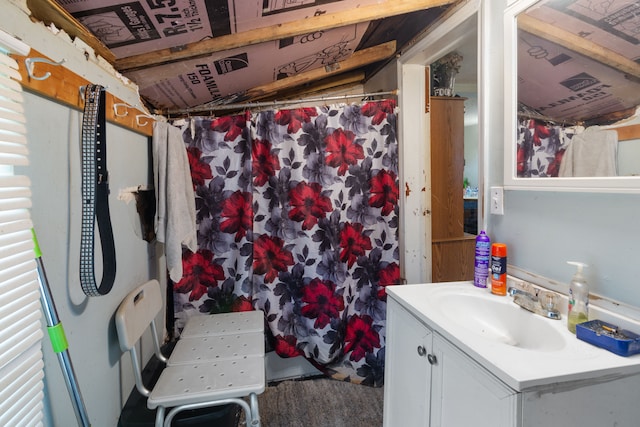 659 N Van Dyke Rd, Imlay City, MI 48444 - bathroom featuring vanity and curtained shower