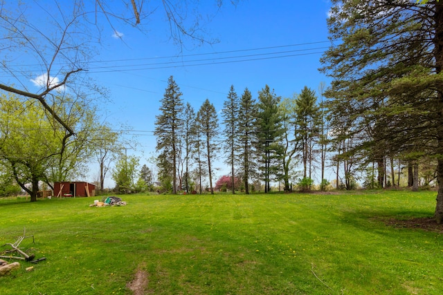 659 N Van Dyke Rd, Imlay City, MI 48444 - view of green lawn with an outdoor structure