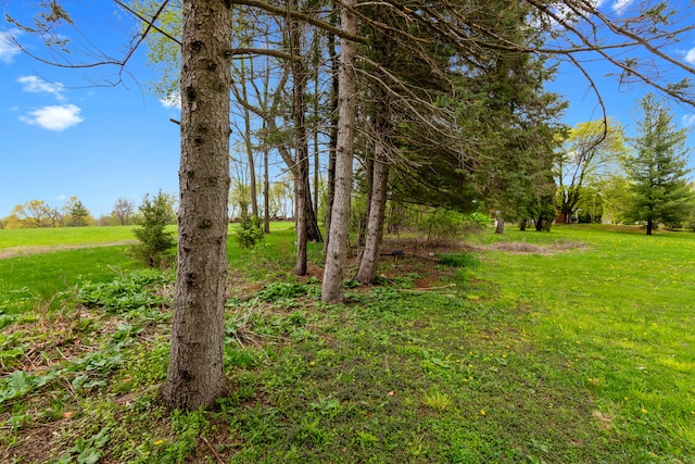 659 N Van Dyke Rd, Imlay City, MI 48444 - view of grassy yard