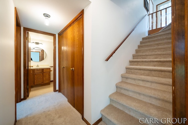 stairs featuring carpet flooring