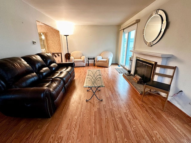 living area with a glass covered fireplace and wood finished floors