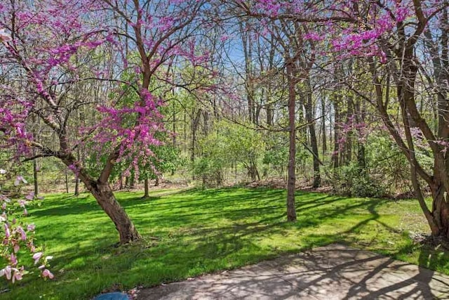 1293 Huntcliff, Milford, MI 48380 - view of property's community featuring a yard