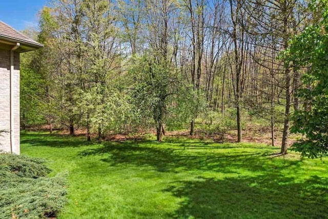 1293 Huntcliff, Milford, MI 48380 - view of grassy yard