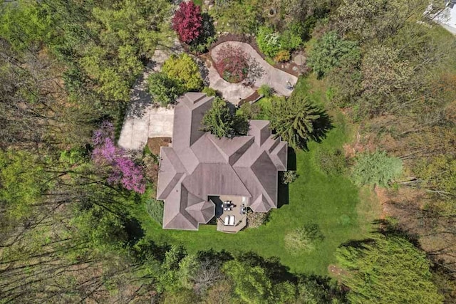 1293 Huntcliff, Milford, MI 48380 - view from above of property