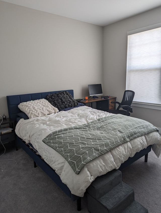2298 Pondview Ln, Troy, MI 48085 - view of carpeted bedroom