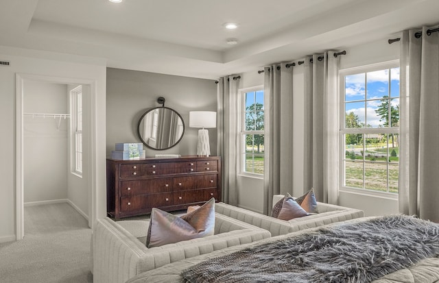 1569 Addison Cir, Walled Lake, MI 48390 - carpeted bedroom with recessed lighting, baseboards, a spacious closet, and multiple windows