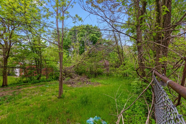 8690 Elmira St, Detroit, MI 48204 - view of yard
