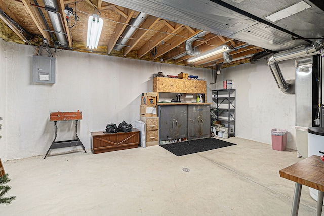 unfinished below grade area featuring electric panel