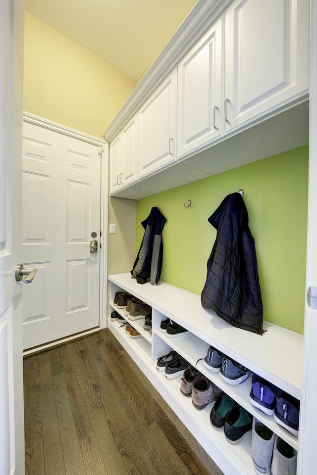 mudroom featuring dark wood-type flooring