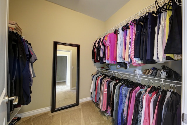 spacious closet featuring carpet floors