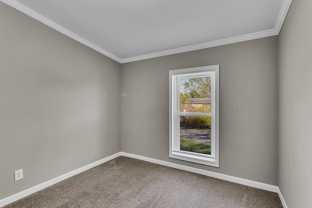 carpeted spare room featuring crown molding and baseboards
