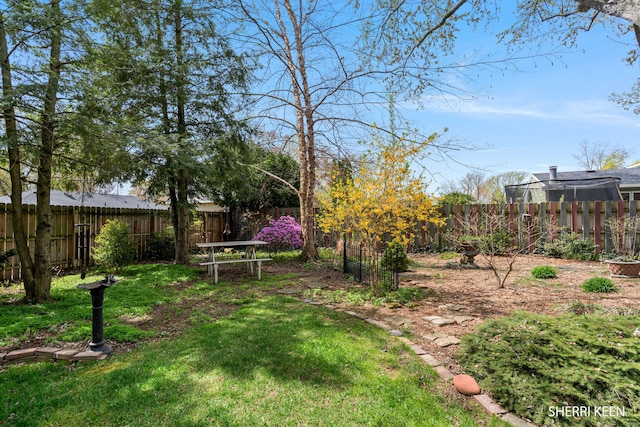view of yard with a fenced backyard