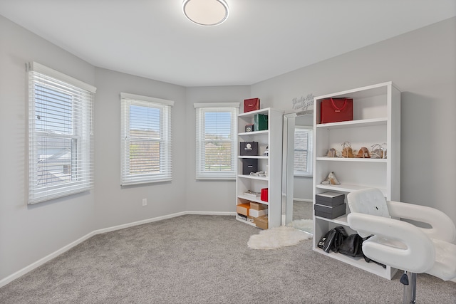 interior space with carpet floors and baseboards