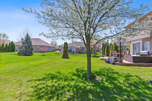 view of yard with outdoor lounge area