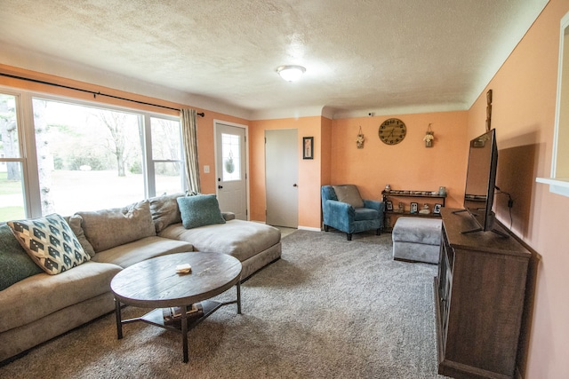 living room with carpet floors and a textured ceiling