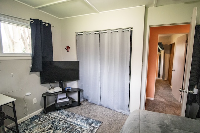 bedroom with carpet flooring