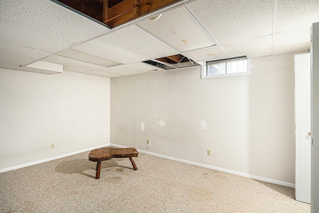 basement featuring baseboards, a drop ceiling, and carpet