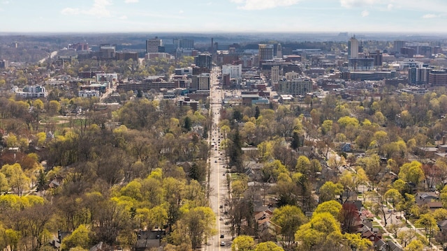 drone / aerial view