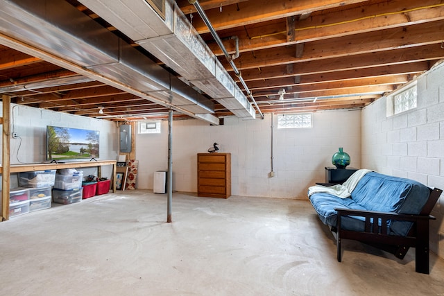 basement featuring electric panel