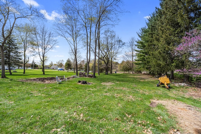 view of yard