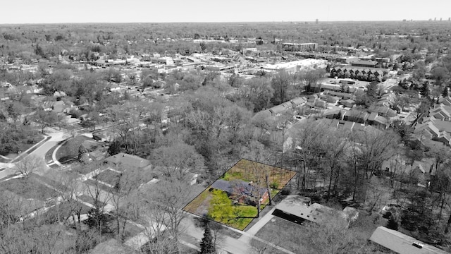 aerial view