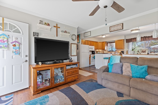 living area featuring crown molding, a ceiling fan, and wood finished floors
