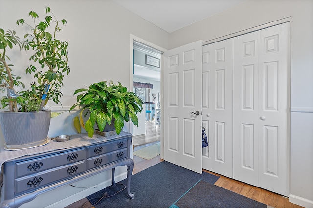entryway featuring wood finished floors