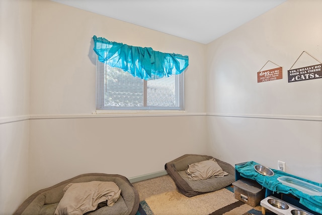 sitting room with carpet