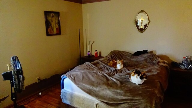 7407 Beecher Rd, Flint, MI 48532 - bedroom featuring wood finished floors