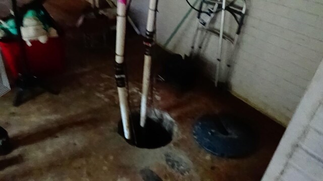7407 Beecher Rd, Flint, MI 48532 - basement view