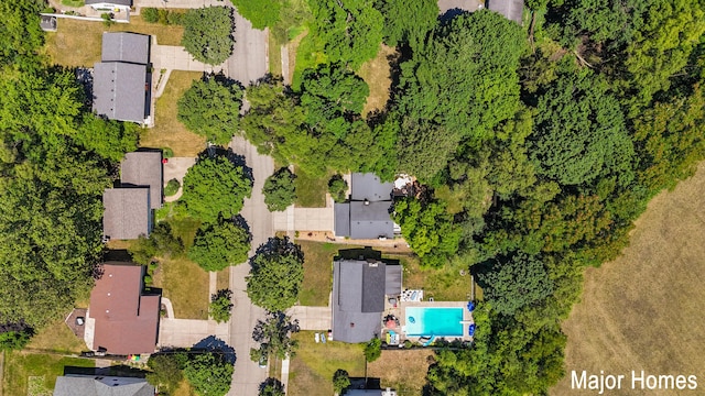 bird's eye view