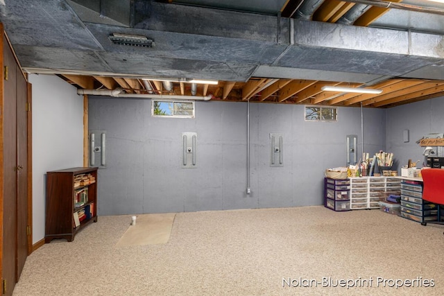 below grade area with carpet and electric panel