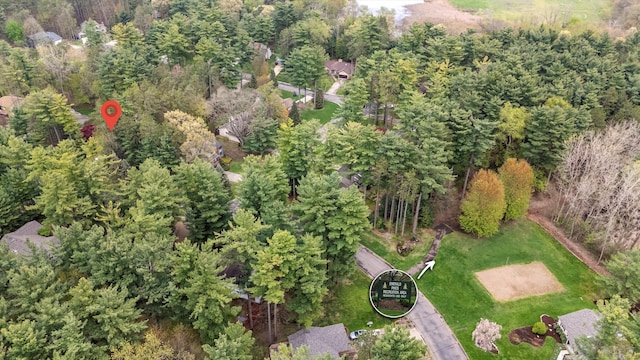 drone / aerial view