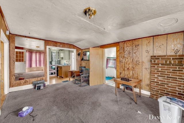 114 E St, Coopersville, MI 49404 - miscellaneous room featuring carpet flooring, wood walls, a textured ceiling, and lofted ceiling