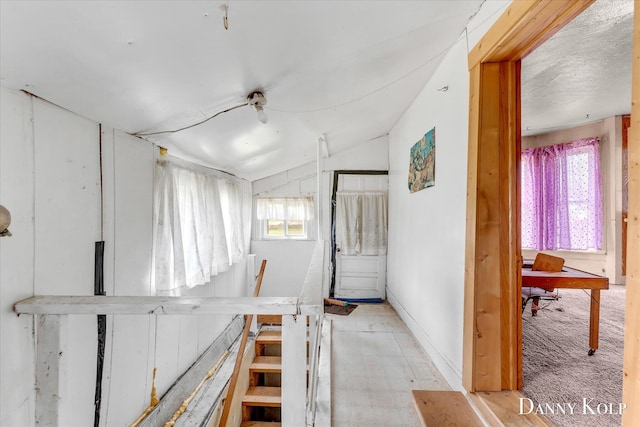 114 E St, Coopersville, MI 49404 - corridor featuring vaulted ceiling