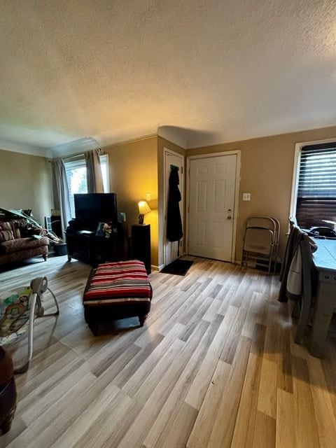 living room with a textured ceiling, a wealth of natural light, and light wood finished floors