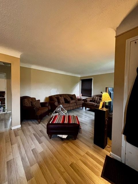living area featuring a textured ceiling and light wood-type flooring