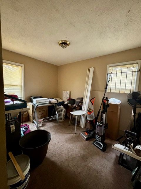 miscellaneous room featuring a textured ceiling and carpet