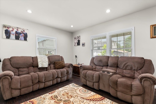 114 Bernstadt St, Novi, MI 48377 - living room featuring recessed lighting, a wealth of natural light, and wood finished floors