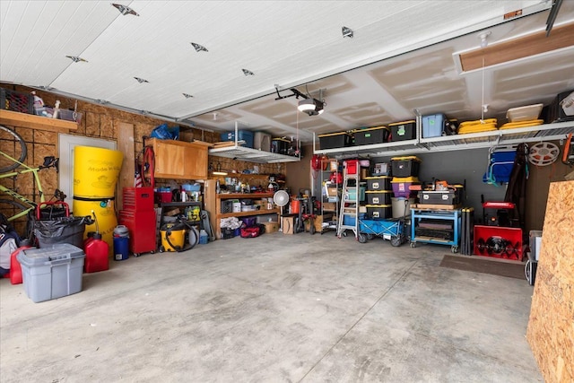 114 Bernstadt St, Novi, MI 48377 - garage with a garage door opener