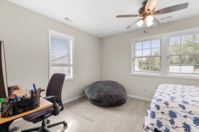 114 Bernstadt St, Novi, MI 48377 - carpeted bedroom with baseboards, multiple windows, and visible vents