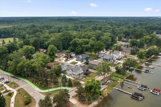 114 Bernstadt St, Novi, MI 48377 - drone / aerial view featuring a water view and a view of trees