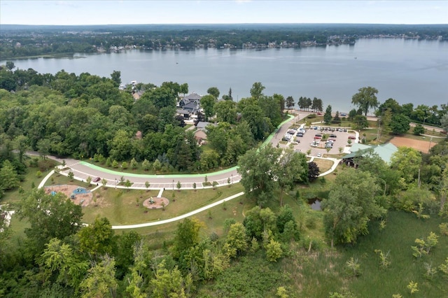 114 Bernstadt St, Novi, MI 48377 - birds eye view of property with a water view