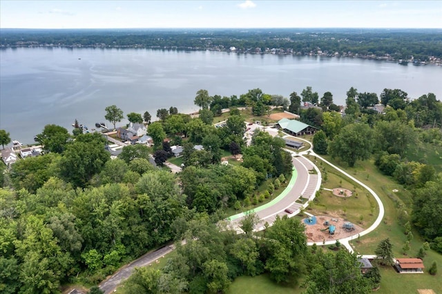 114 Bernstadt St, Novi, MI 48377 - birds eye view of property with a water view