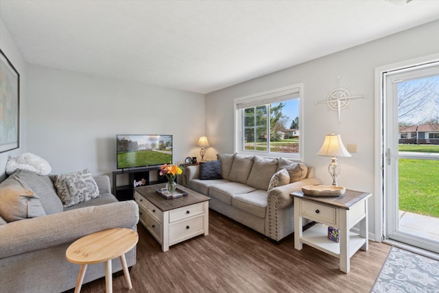 living area featuring dark wood-style flooring